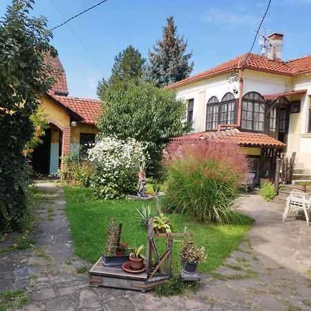 Garickina Kuca Appartement Pirot Buitenkant foto