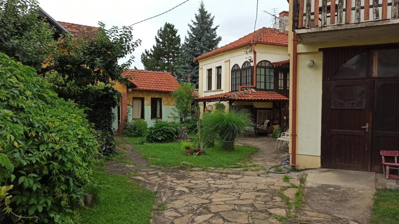 Garickina Kuca Appartement Pirot Buitenkant foto