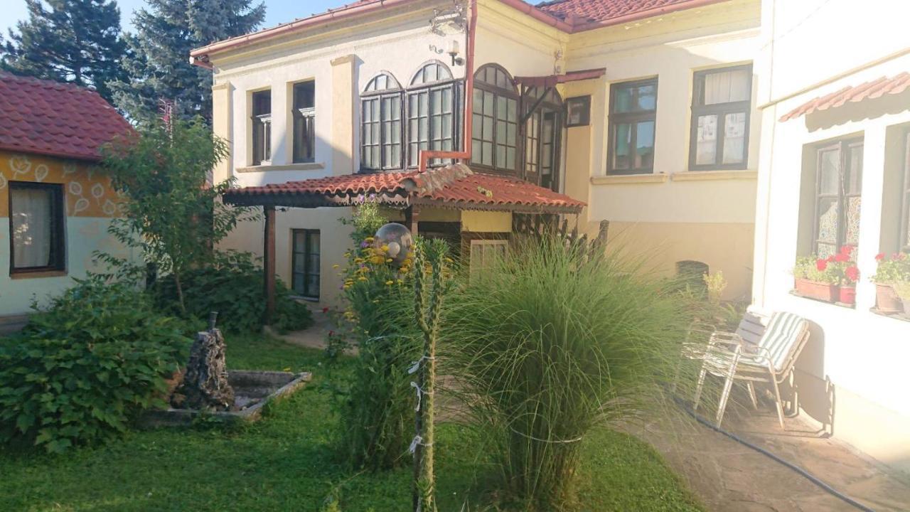 Garickina Kuca Appartement Pirot Buitenkant foto