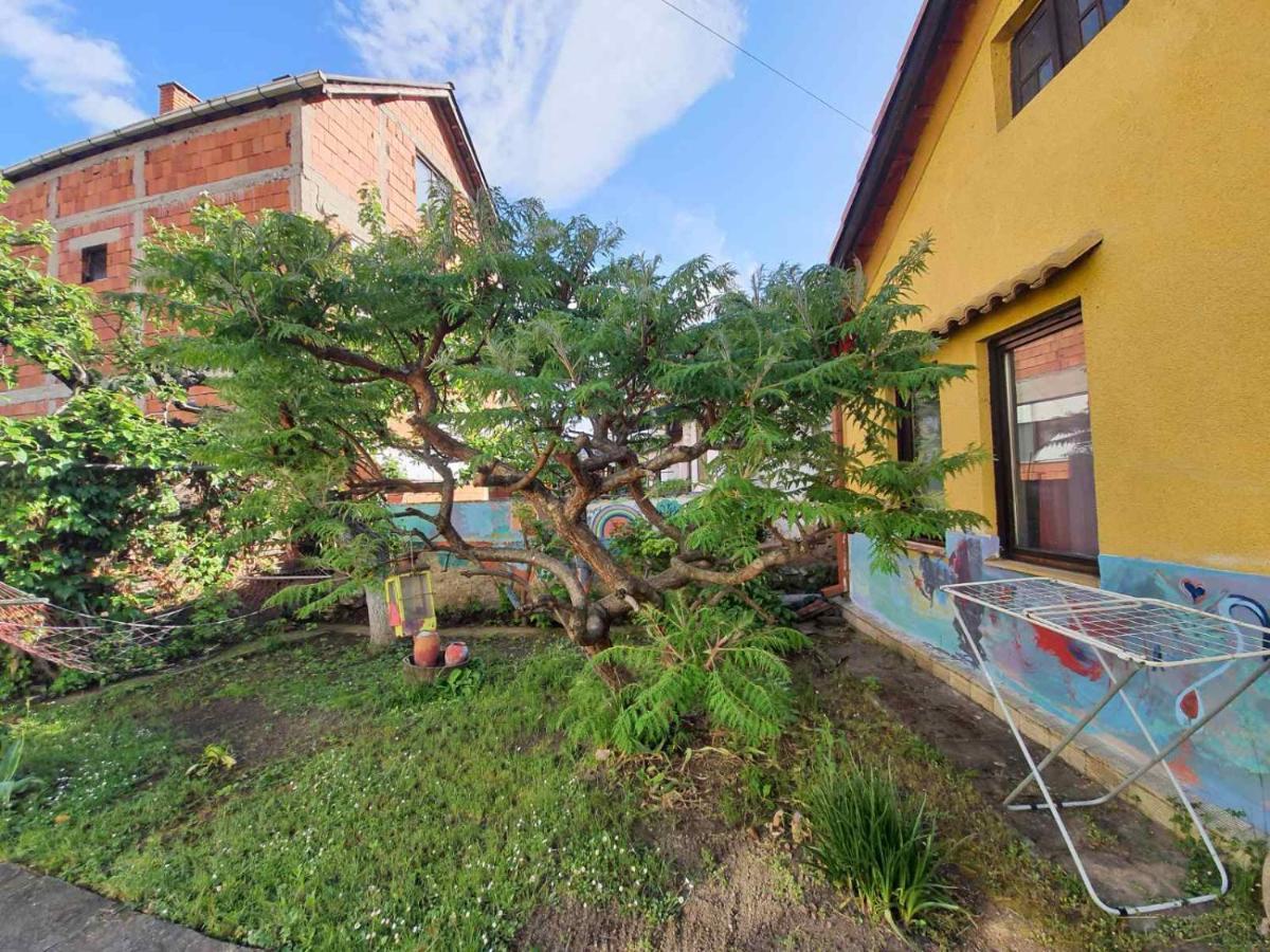 Garickina Kuca Appartement Pirot Buitenkant foto