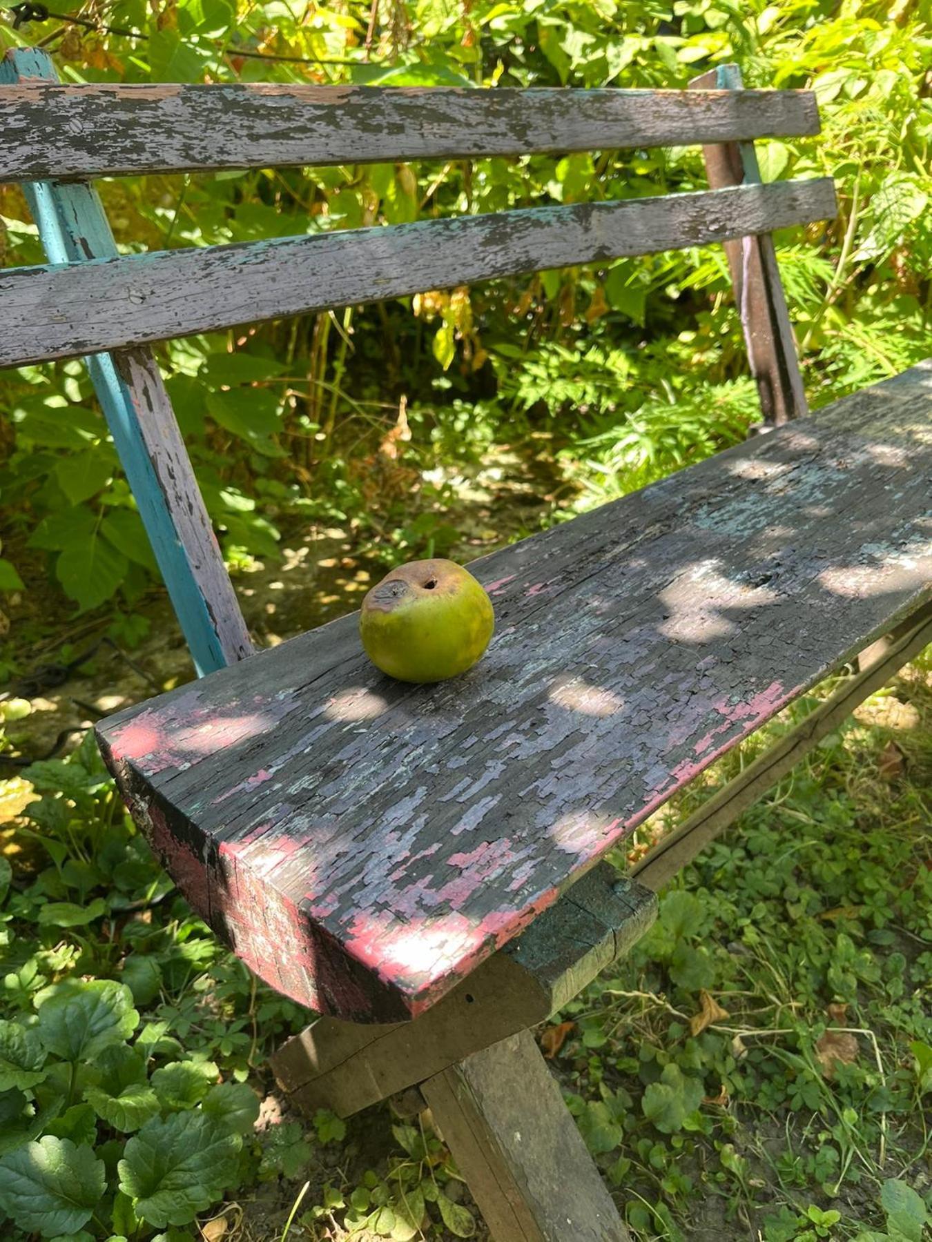 Garickina Kuca Appartement Pirot Buitenkant foto