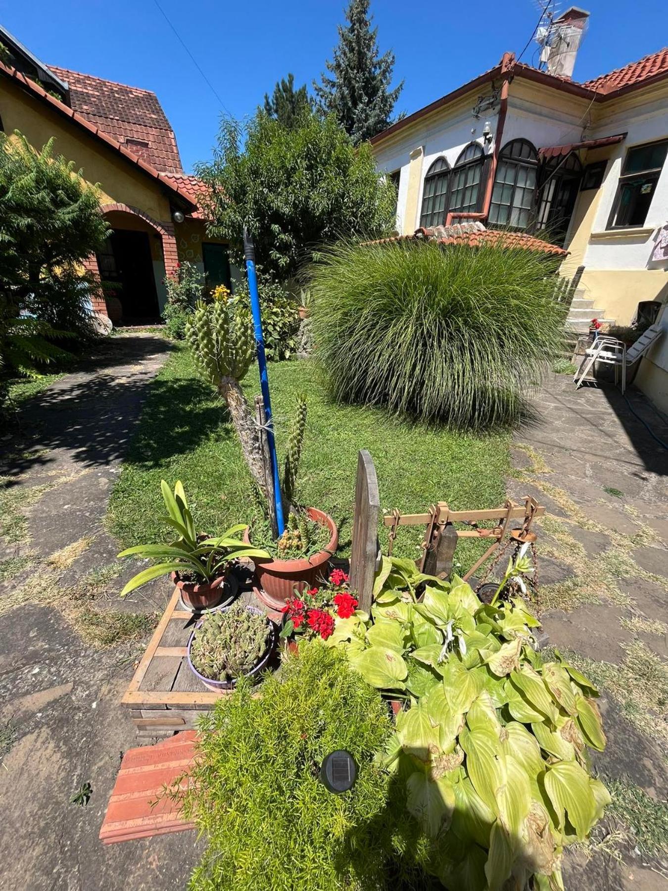 Garickina Kuca Appartement Pirot Buitenkant foto