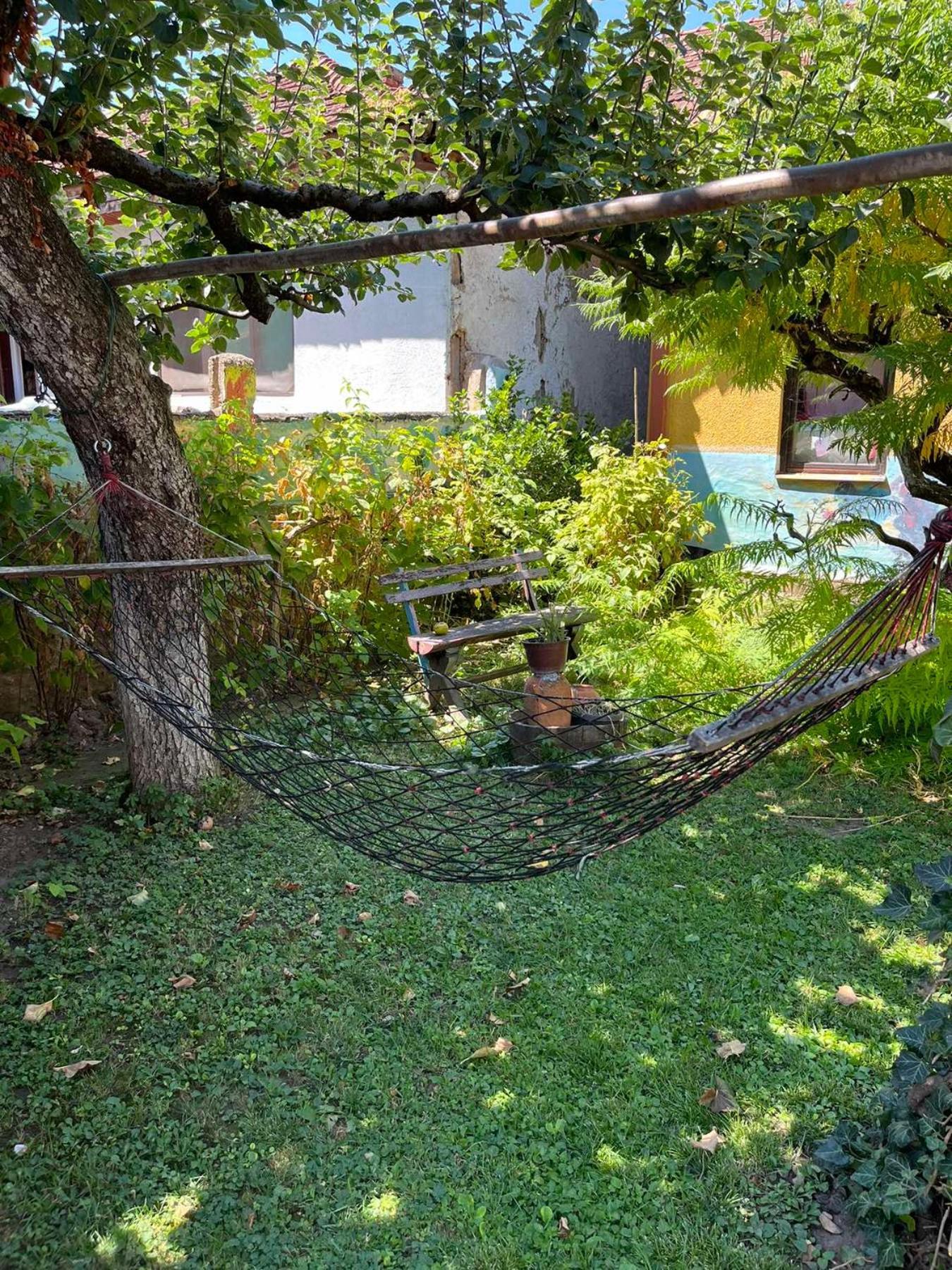 Garickina Kuca Appartement Pirot Buitenkant foto